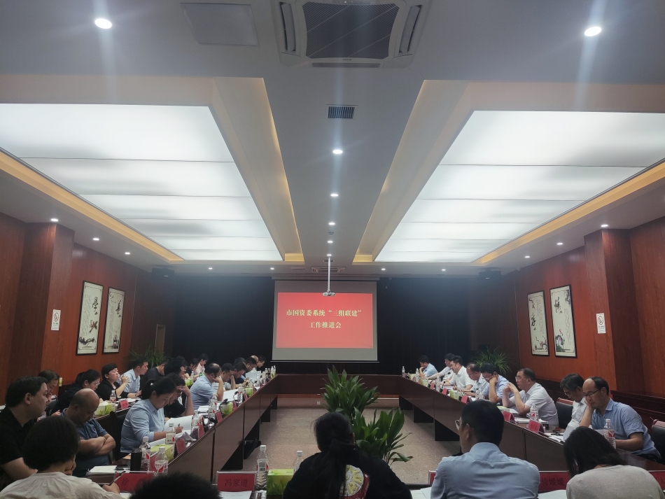 2024年7月17日，市國資委系統(tǒng)在公司開展“三組聯(lián)建”現(xiàn)場觀摩（推進會）_副本